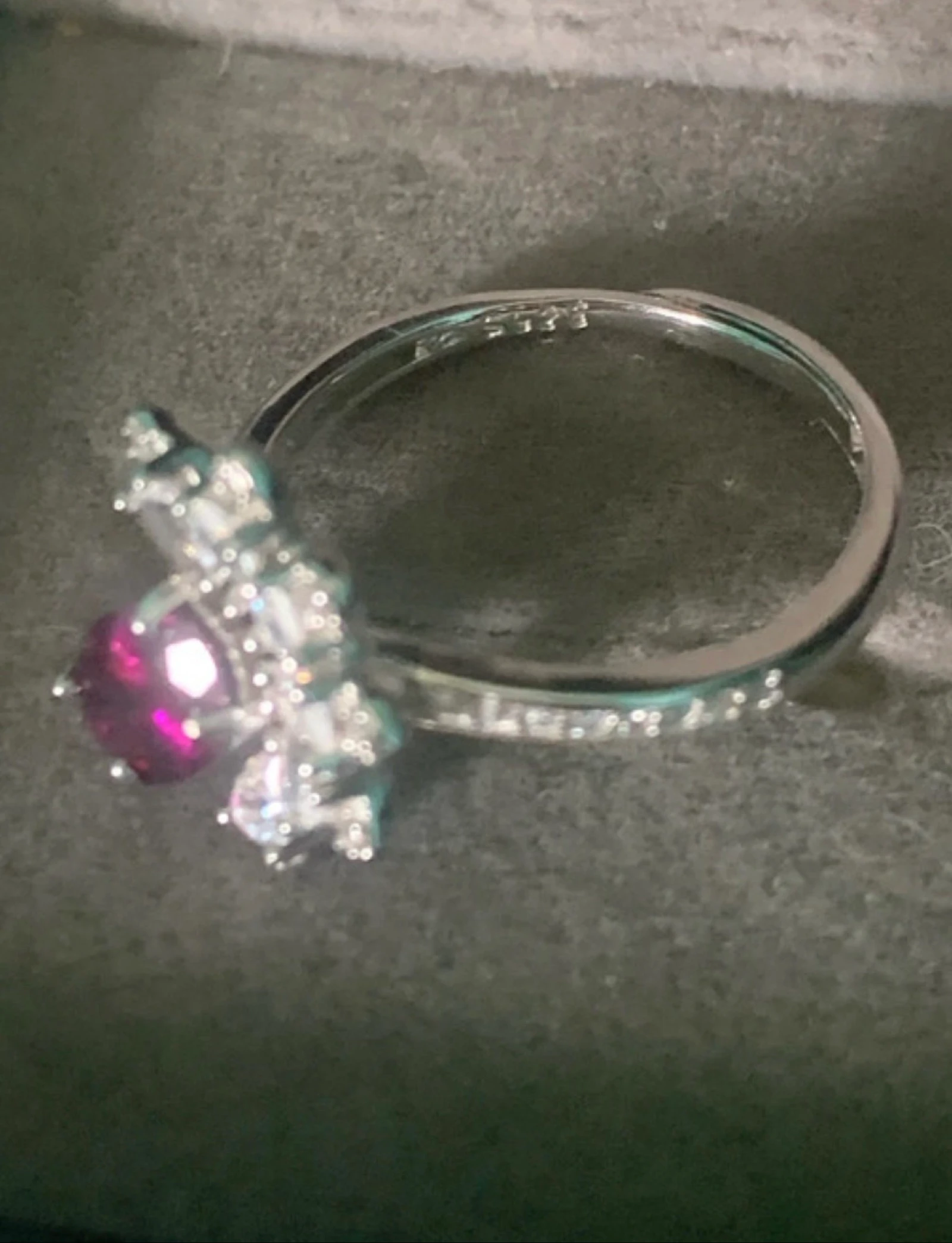 Rodolietring – photo 6